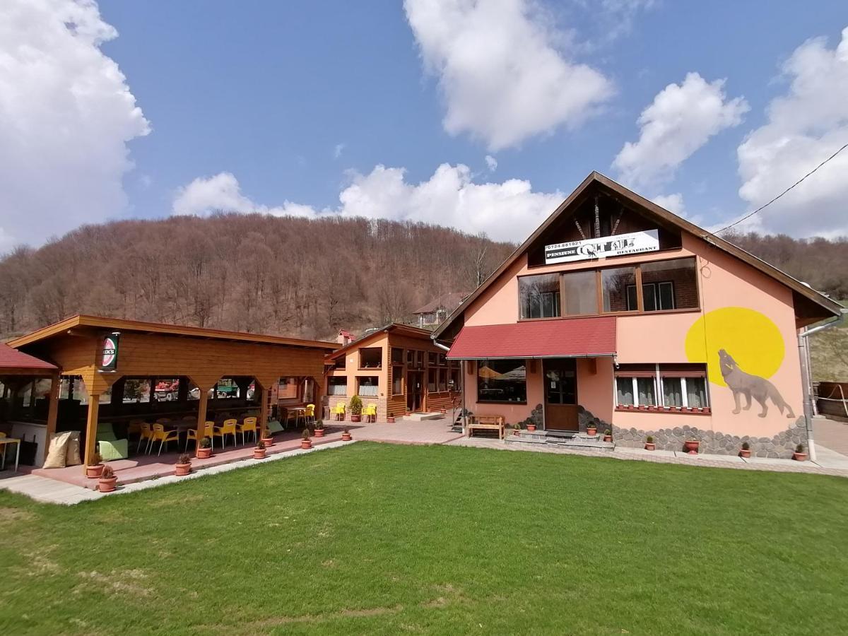 Pensiunea Colt Alb Băile Homorod Εξωτερικό φωτογραφία