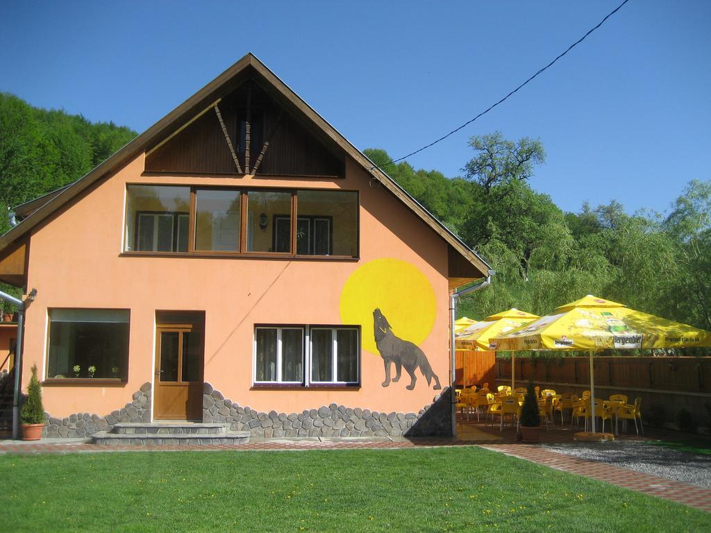 Pensiunea Colt Alb Băile Homorod Εξωτερικό φωτογραφία