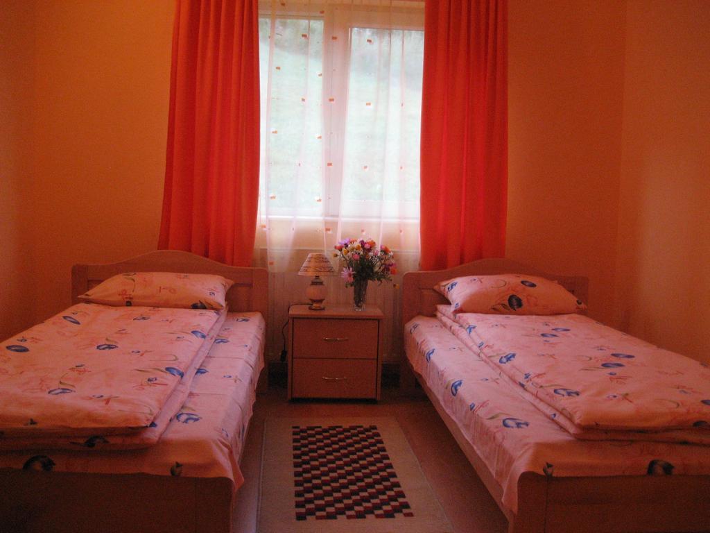 Pensiunea Colt Alb Băile Homorod Εξωτερικό φωτογραφία