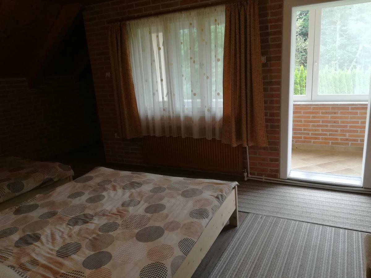 Pensiunea Colt Alb Băile Homorod Εξωτερικό φωτογραφία