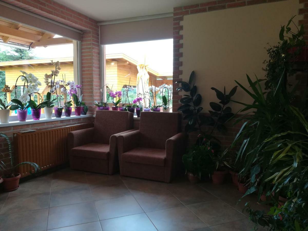 Pensiunea Colt Alb Băile Homorod Εξωτερικό φωτογραφία