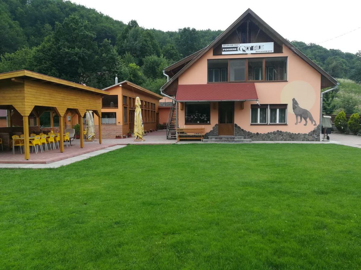 Pensiunea Colt Alb Băile Homorod Εξωτερικό φωτογραφία